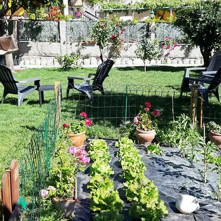 Guest house O Escondidino Baiona